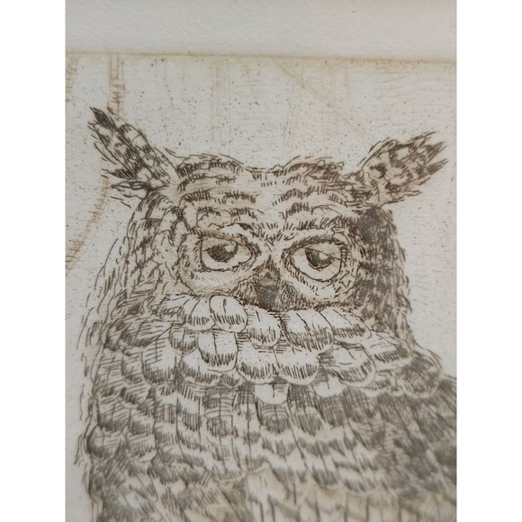 Netia Worley 1974 Etching Horned Owl Numbered 55/200 Artist Pencil Signed - Picture 7 of 10